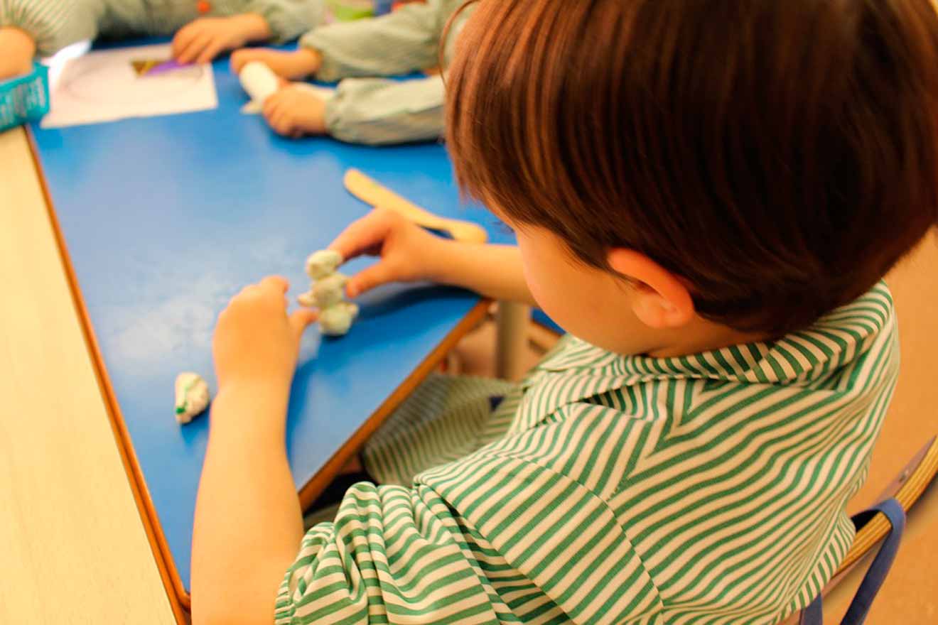 Educación primaria / SA