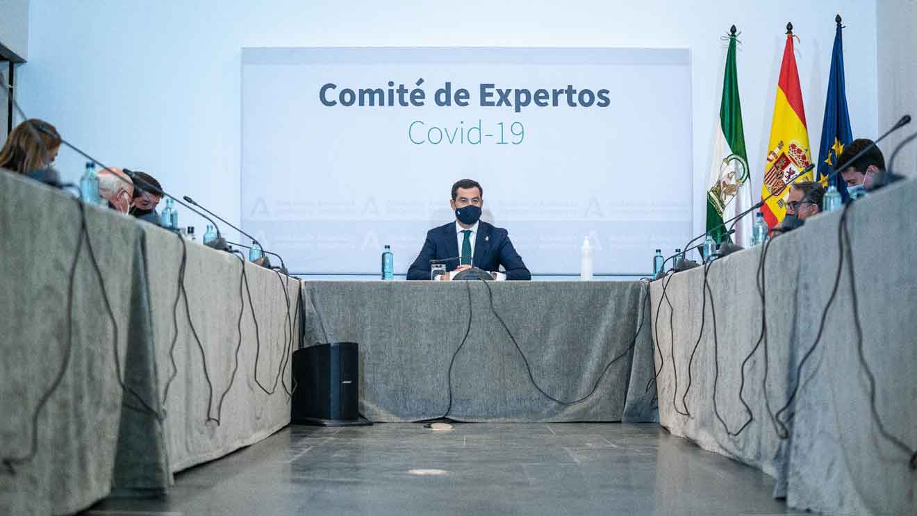 comité de expertos