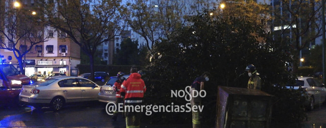 Un árbol caído por la fuerza del viento / Archivo Emergencias Sevilla