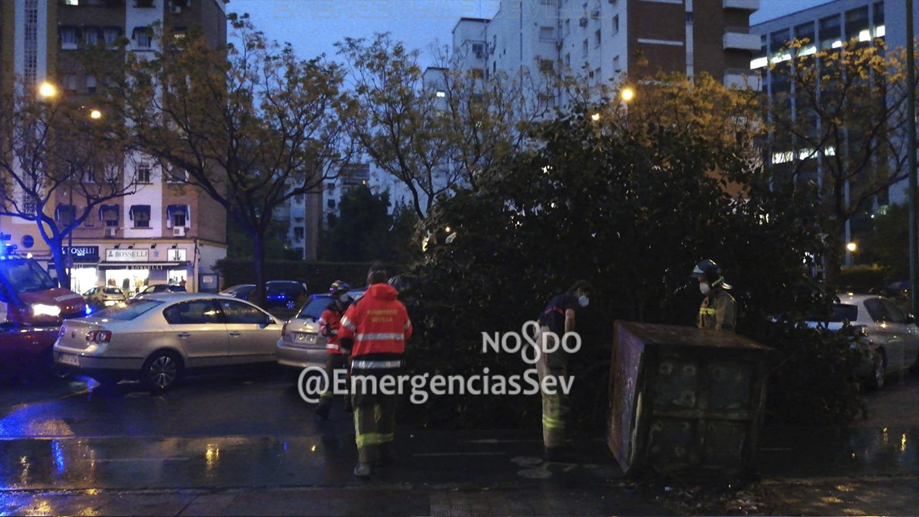 Un árbol caído por la fuerza del viento / Archivo Emergencias Sevilla
