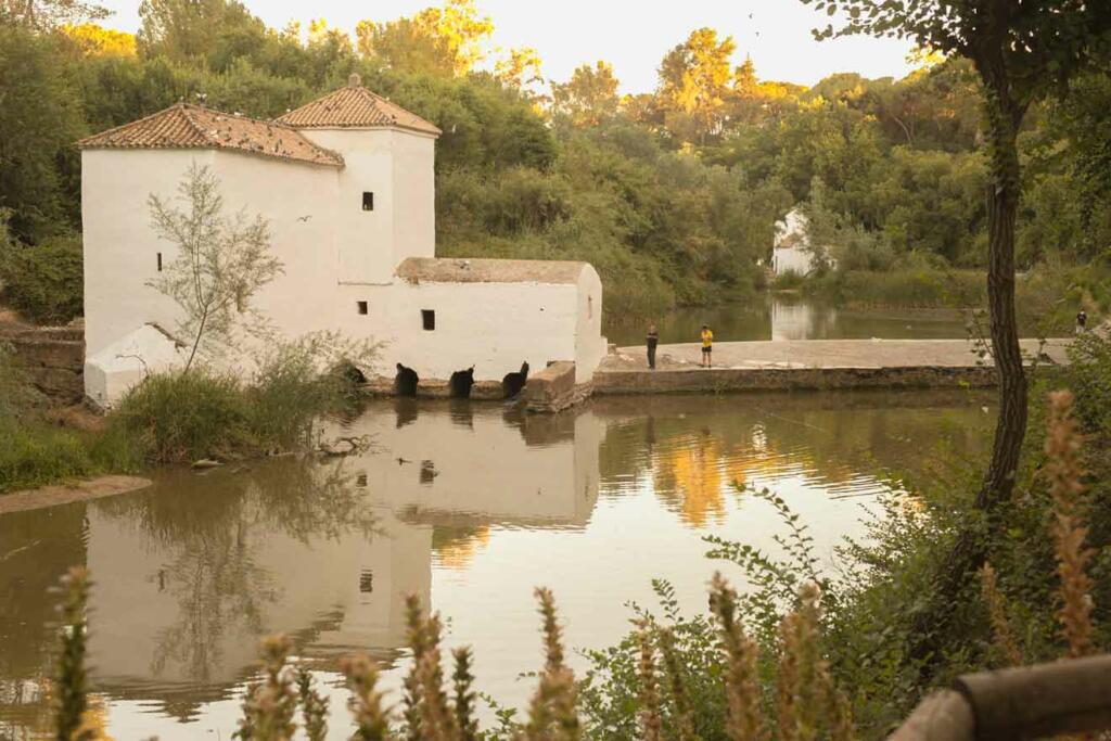 ribera del guadaíra