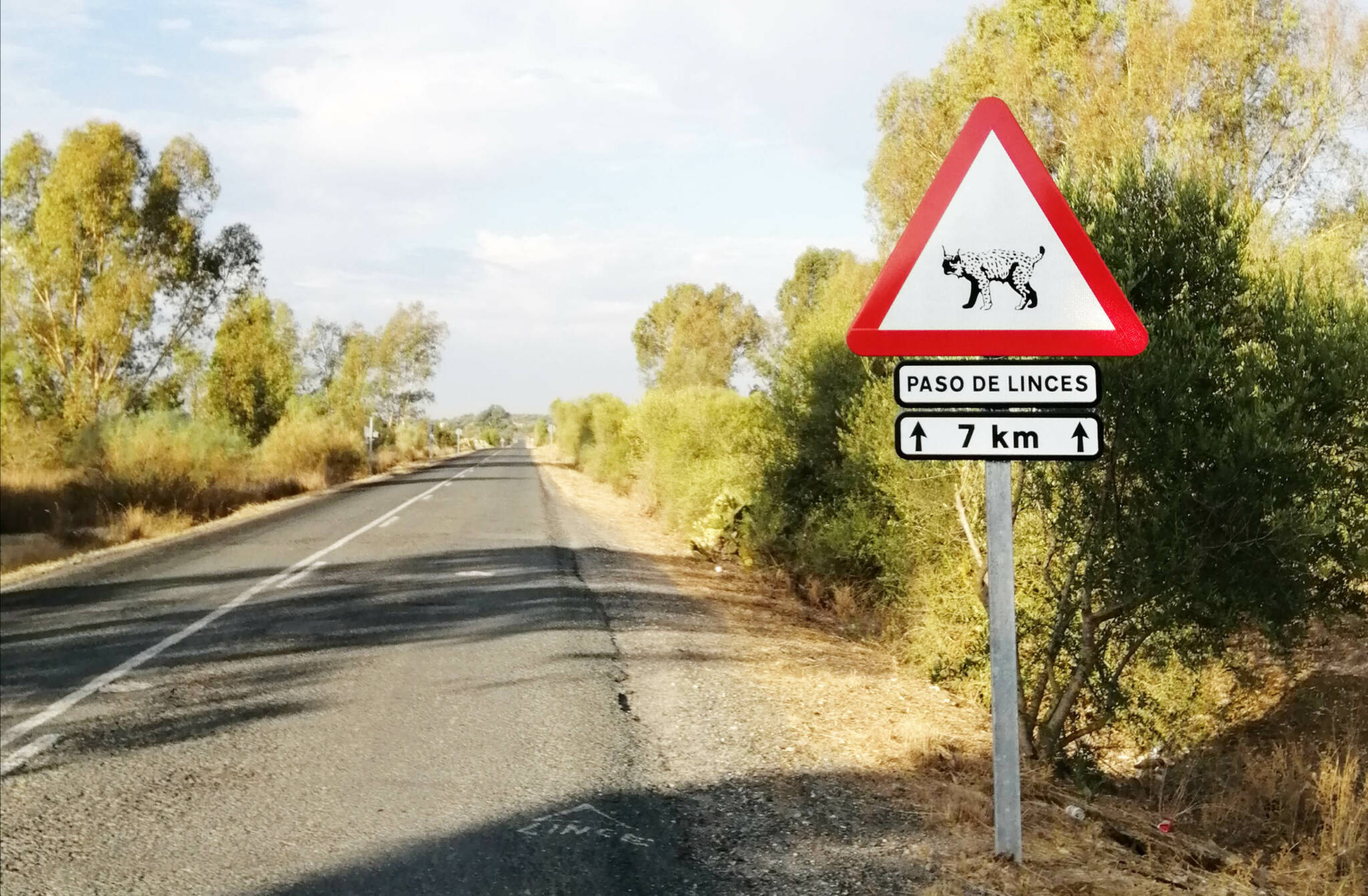 Carretera SE-3302 junto a la Dehesa de Abajo en Sevilla