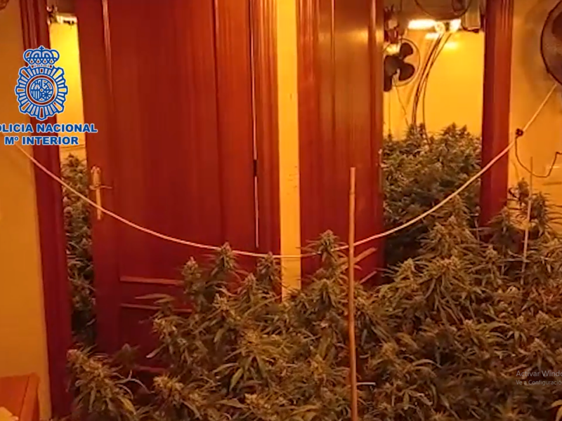 Operación contra el tráfico de drogas