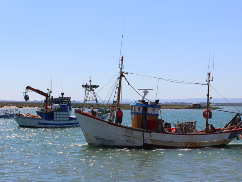golfo de Cádiz