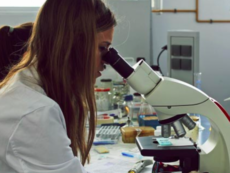 Investigadores de Cádiz nanoparticulas que limpian el aire