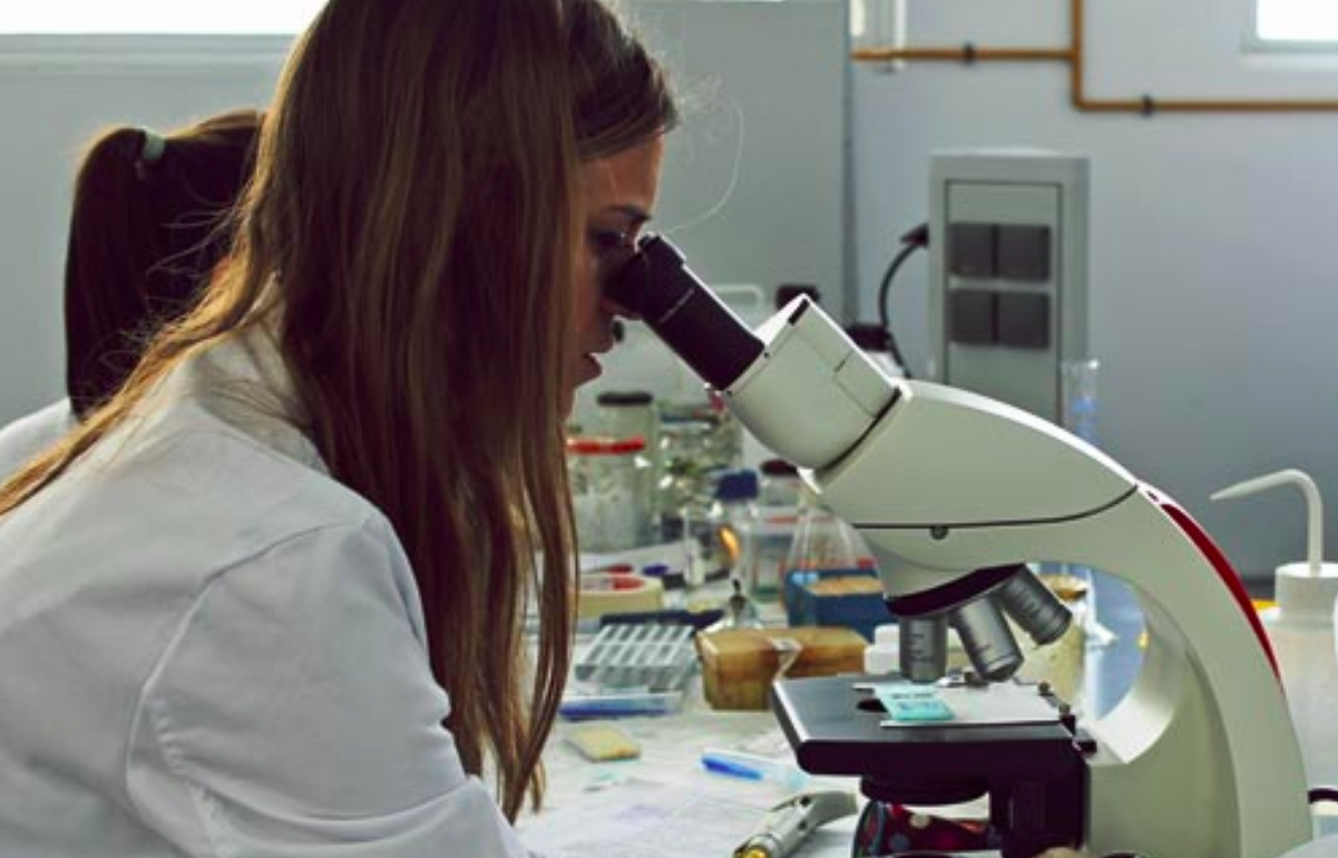 Investigadores de Cádiz nanoparticulas que limpian el aire