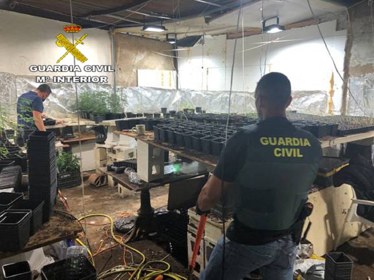 marihuana Carmona Guardia civil