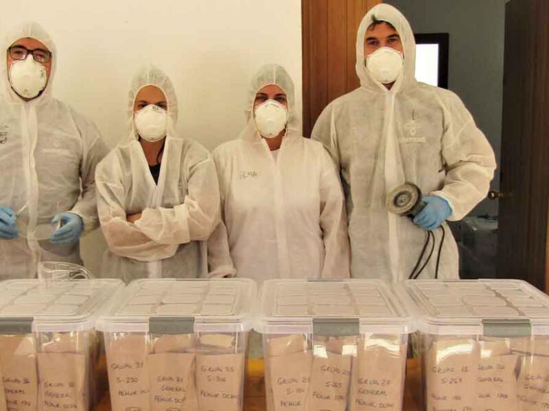 restos óseos pico reja