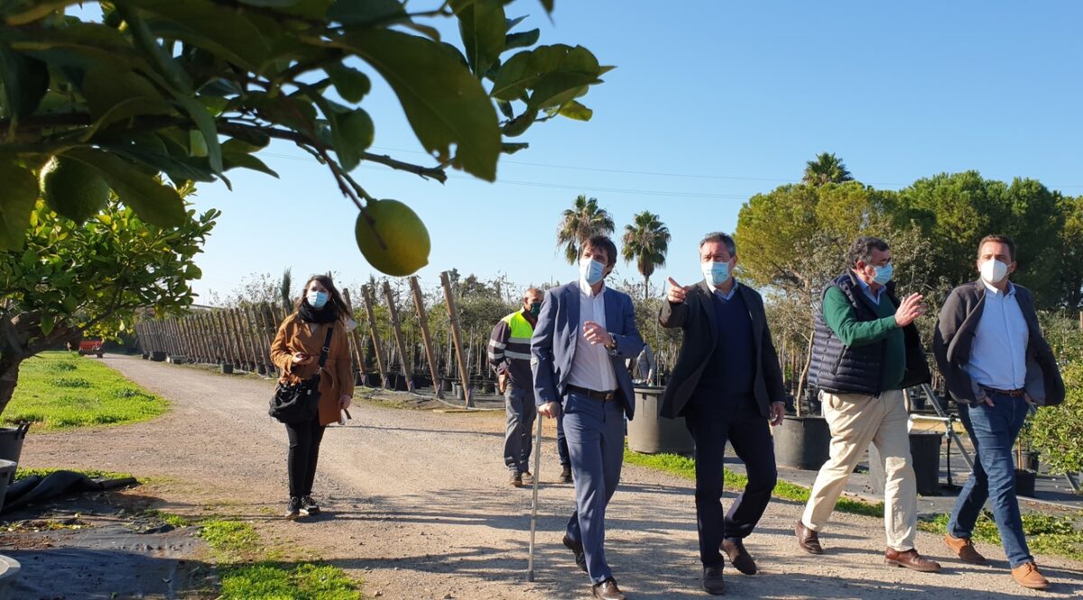 Acuerdo Green City Sevilla / Ayto.