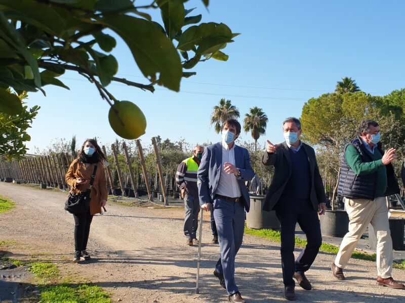 Acuerdo Green City Sevilla / Ayto.