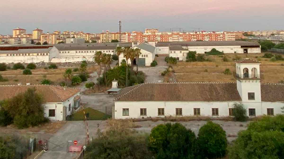 Algodonera de Parque Alcosa /Algodonera Sevilla