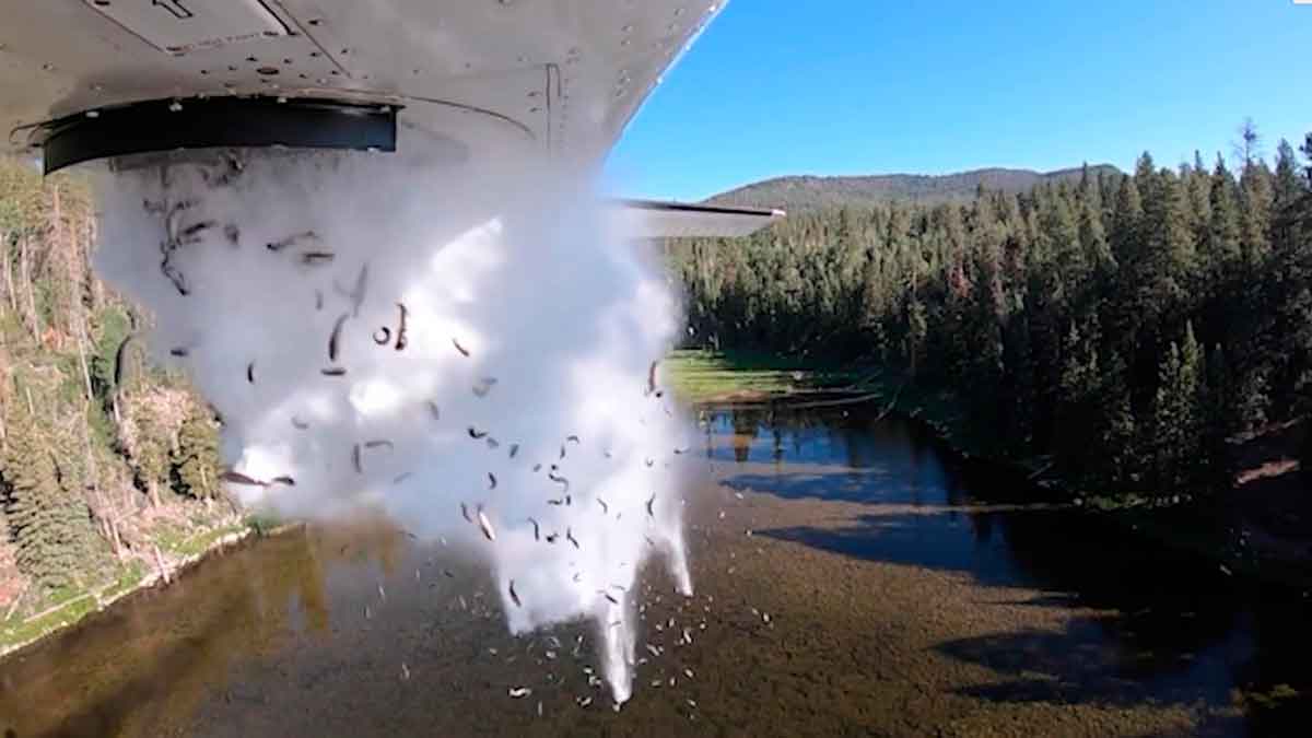 División para los Recursos de la Vida Salvaje de Utah