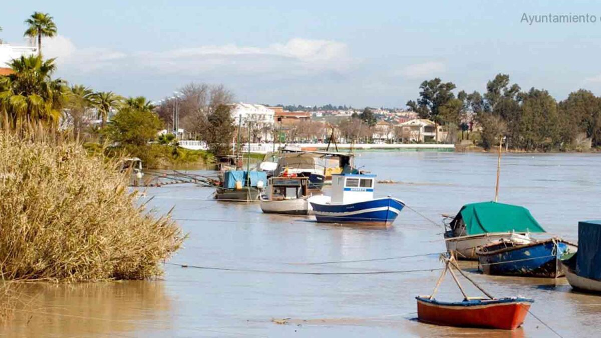 Imagen de la localidad de Coria del Río / SA