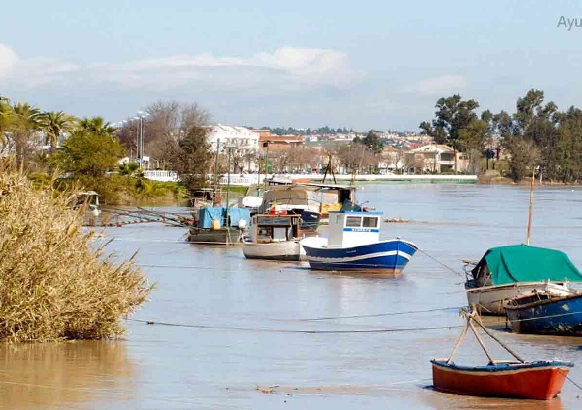 Imagen de la localidad de Coria del Río / SA