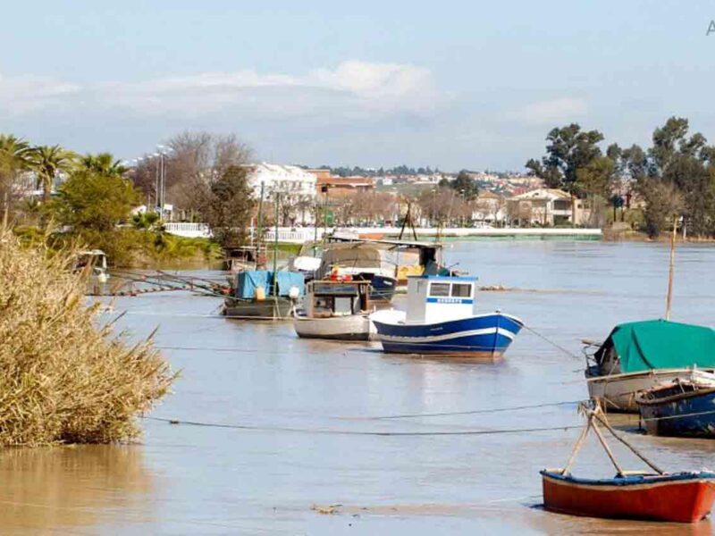 Imagen de la localidad de Coria del Río / SA