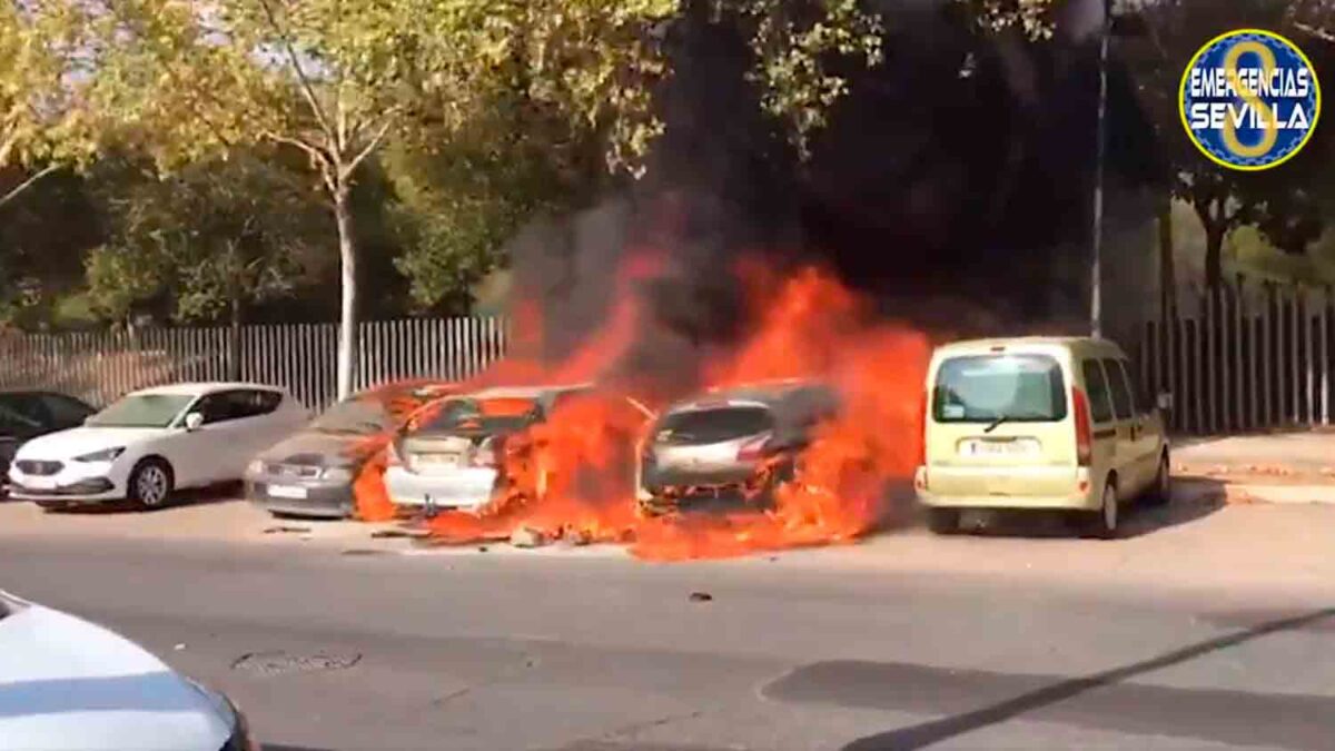 coches incendiados en pino montano