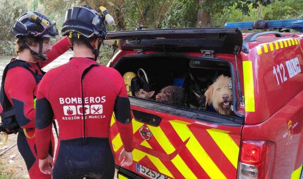 Los bomberos lograron rescatar al perro y a su dueña / Bomberos