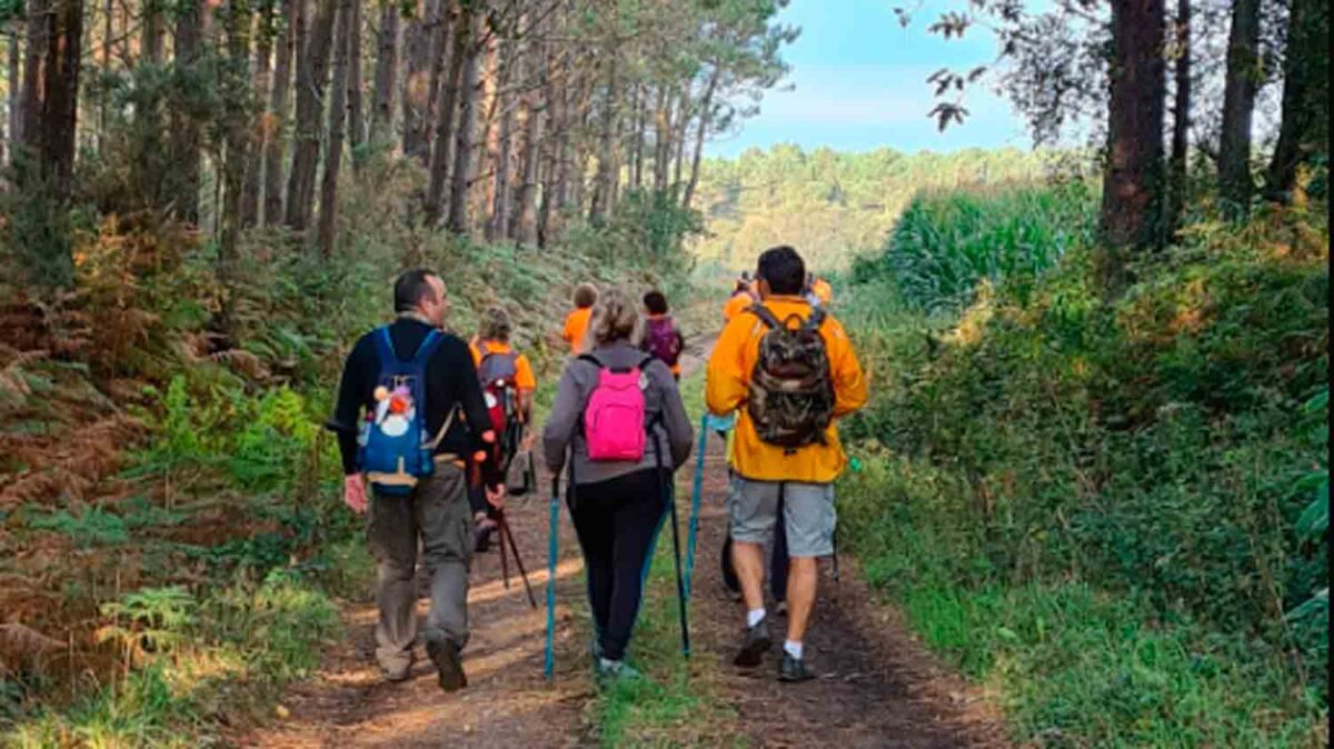 Peregrinos en el Camino de Santiago