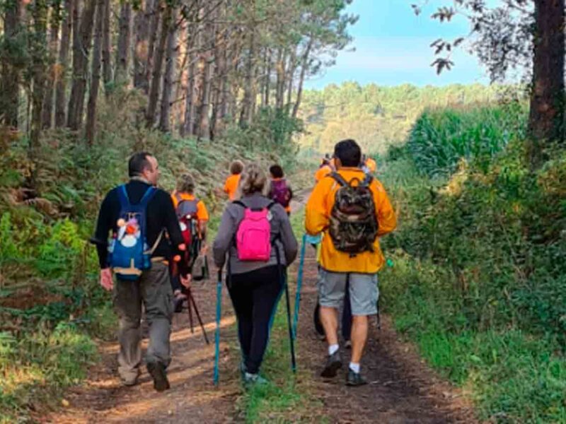Peregrinos en el Camino de Santiago
