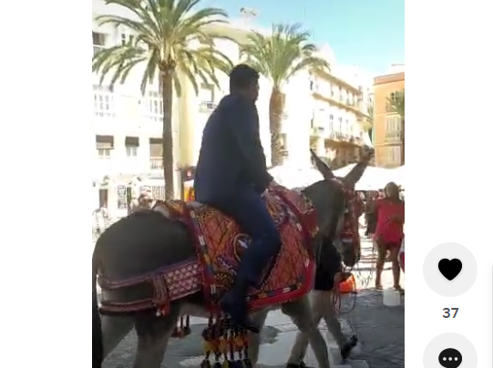 El novio llegaba a lomos de un burro / Tik Tok