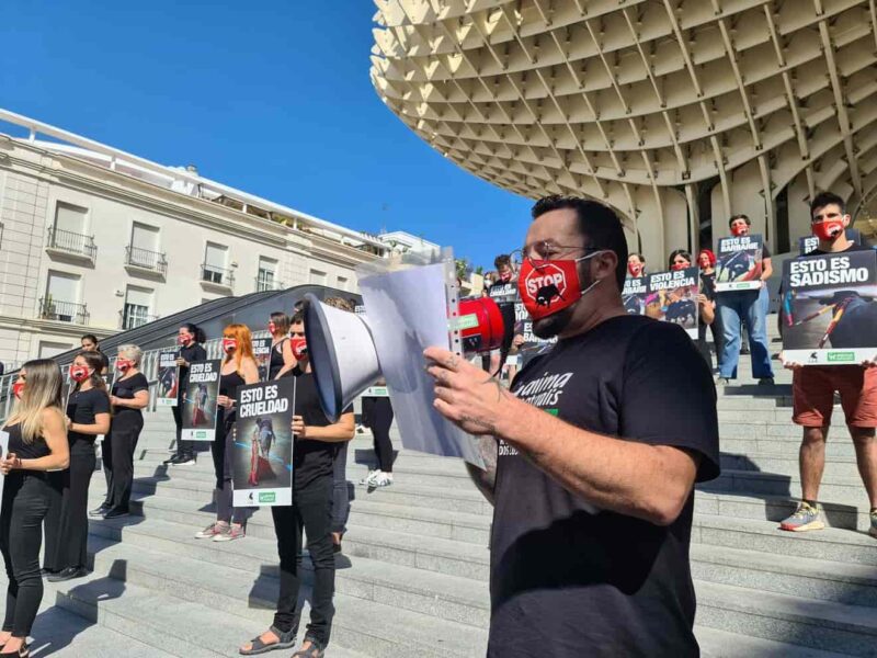Manifestacion contra la tauromaquia en Sevilla / AnimaNaturalis