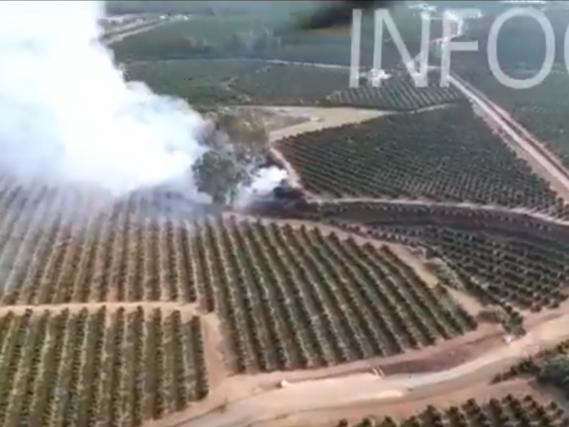 Incendio en El Palmitero en Cantillana / Infoca