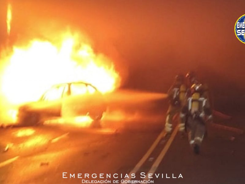 El coche resultó calcinado por completo tras el incendio / ES