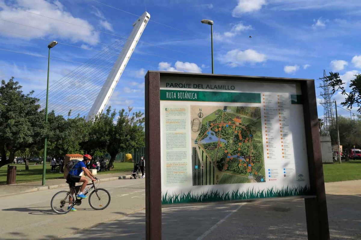 Parque del Alamillo / Junta