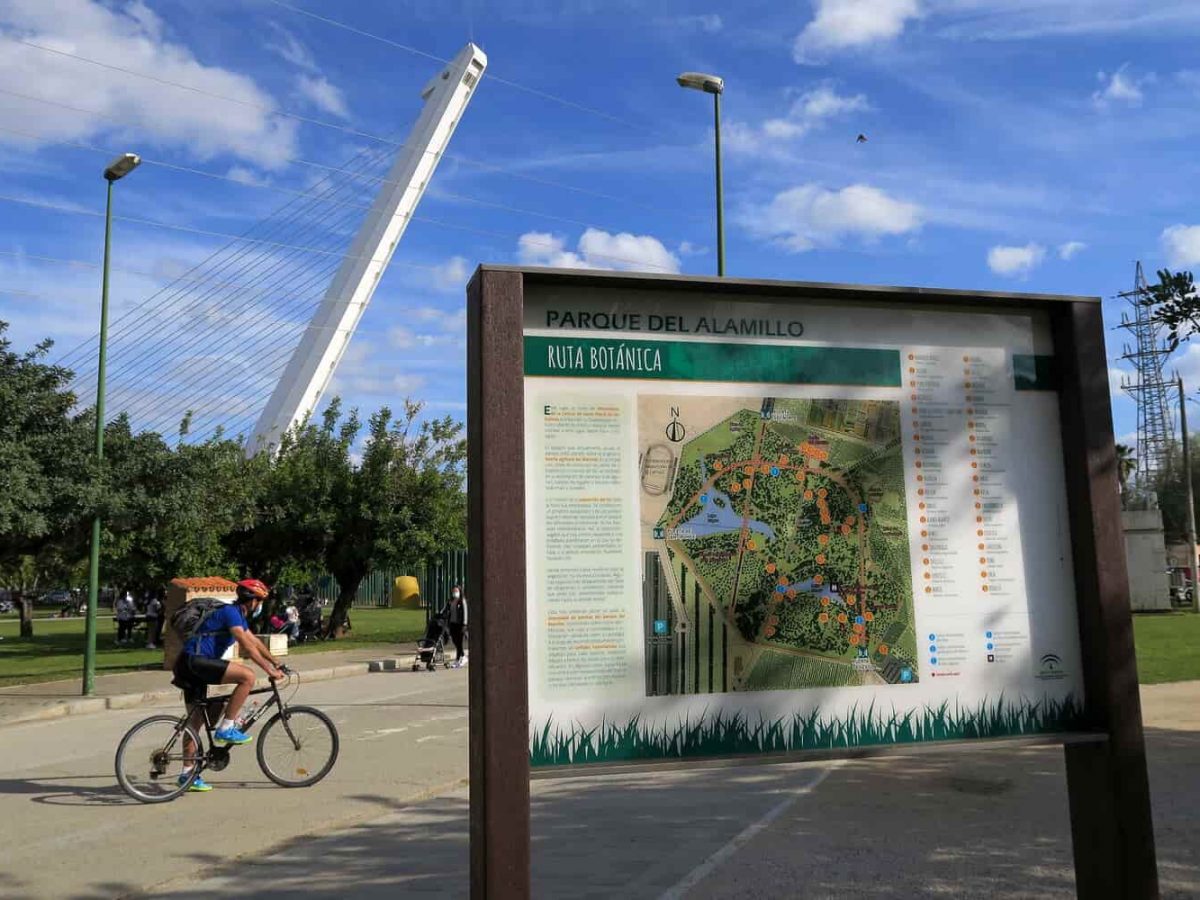 Parque del Alamillo / Junta