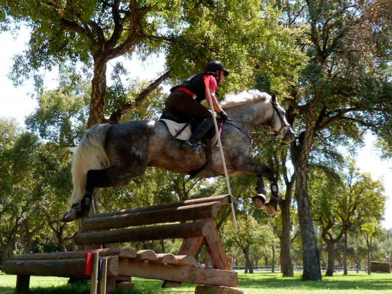 Prueba de salto en el Alamillo