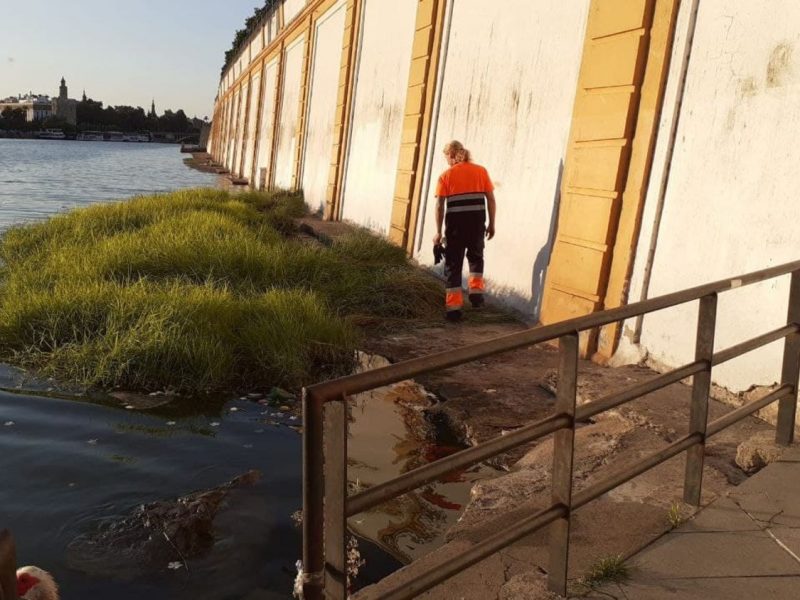 Suciedad en el Guadalquivir / IU