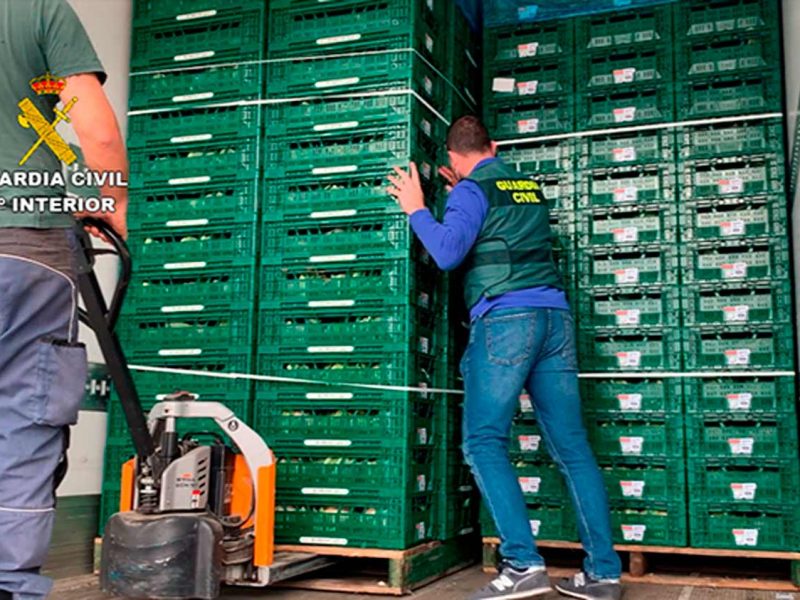 Coliflores incautadas