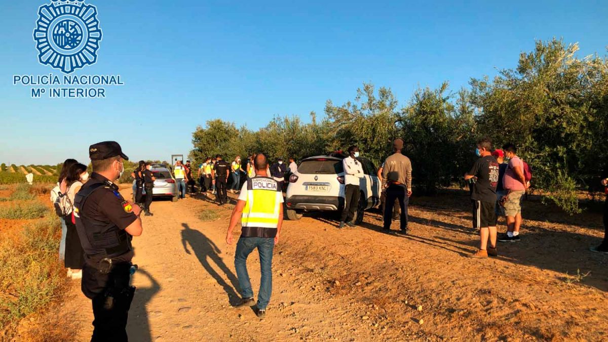 Desarticulación de la red criminal