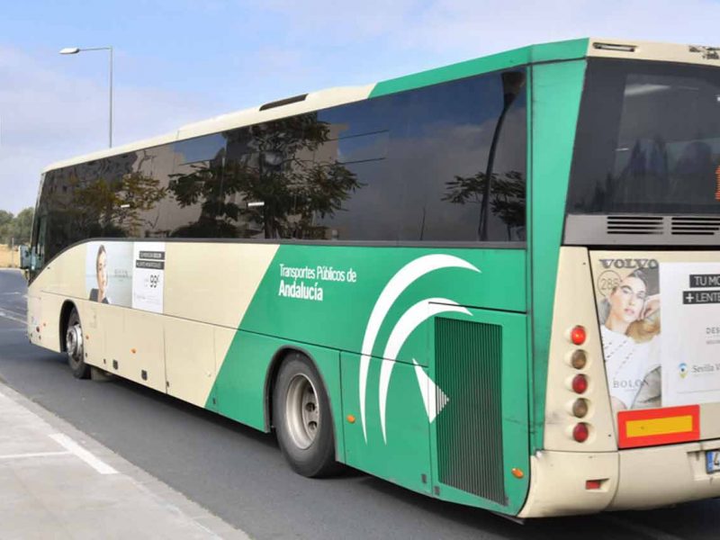 Imagen de un autobús metropolitano en el Aljarafe / SA