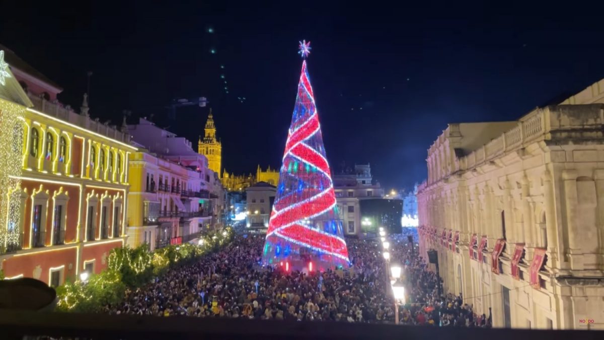 Iluminación árbol Plaza de San Francisco / SA