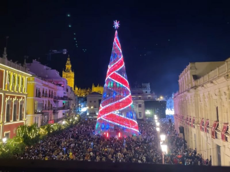 Iluminación árbol Plaza de San Francisco / SA