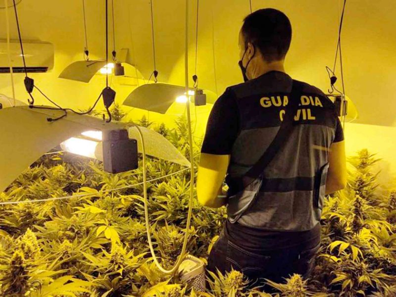 Plantación indoor de marihuana / Archivo GC