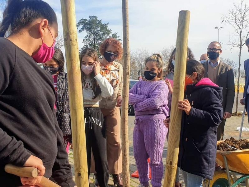 Plantación de árboles en colegios sevillanos / Ayto.