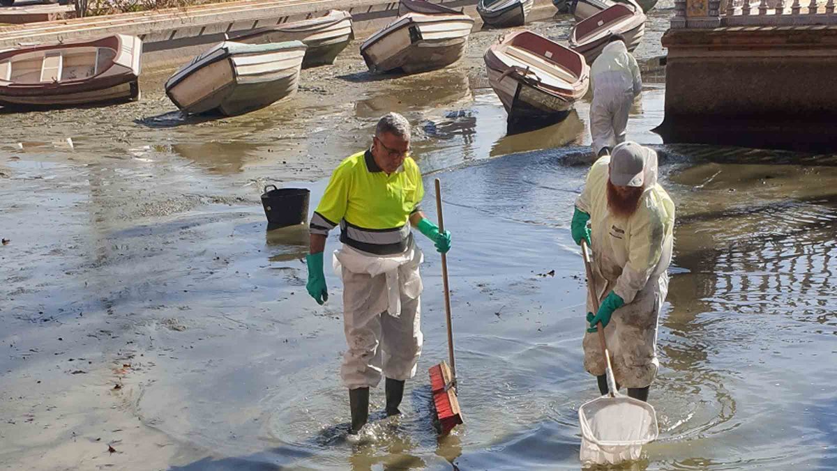 Limpieza del estanque de la Plaza de España / SA