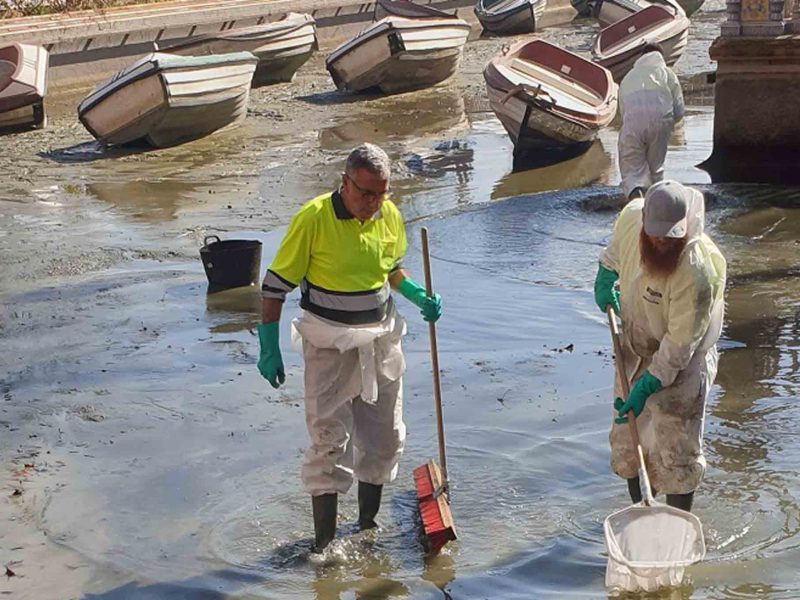 Limpieza del estanque de la Plaza de España / SA