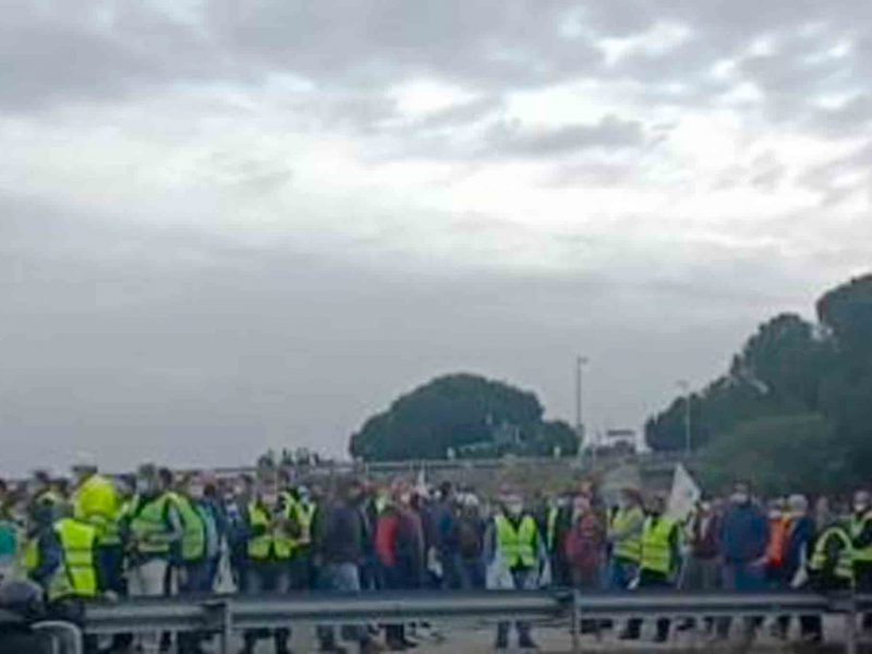 Protestas en la AP-4 de agricultores sevillanos