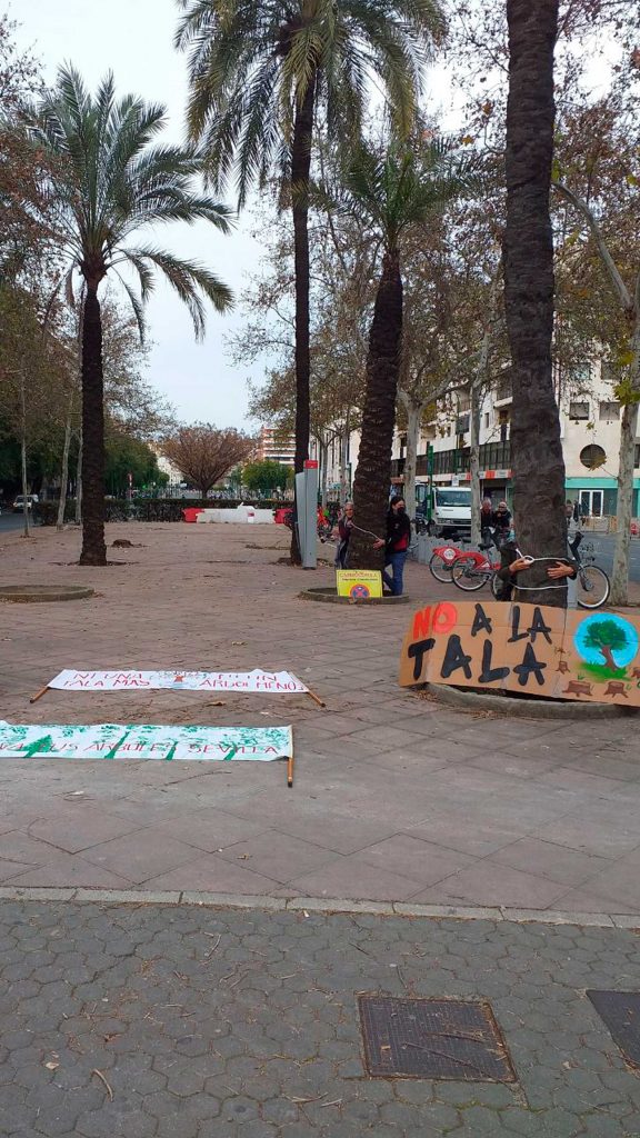 Acción contra la tala de árboles
