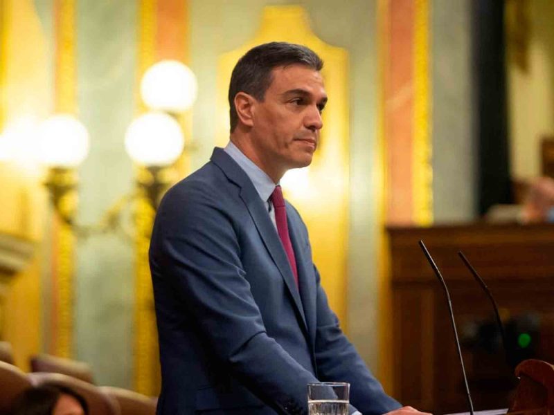 Pedro Sánchez, candidato socialista