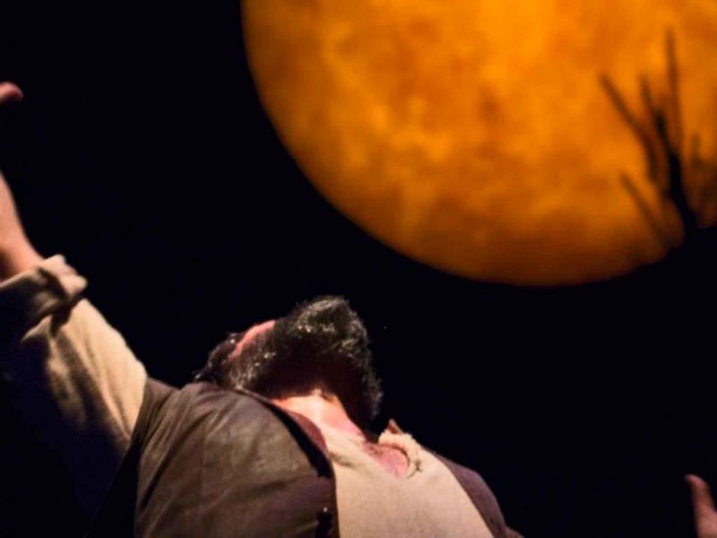 fin semana Antiquarium