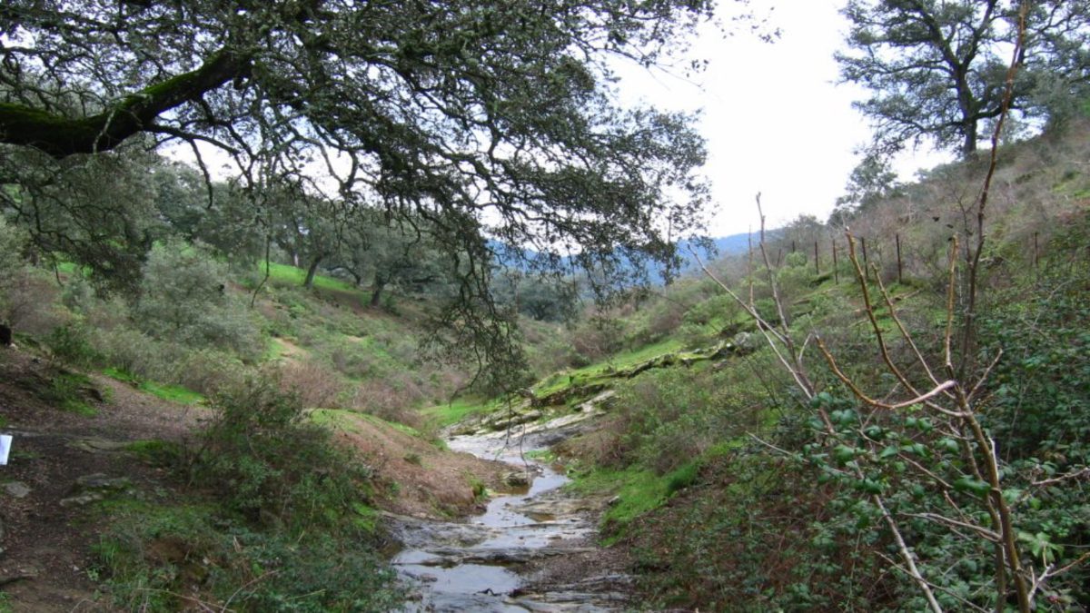 Ruta de senderismo por Las Laderas de Cazalla de la Sierra