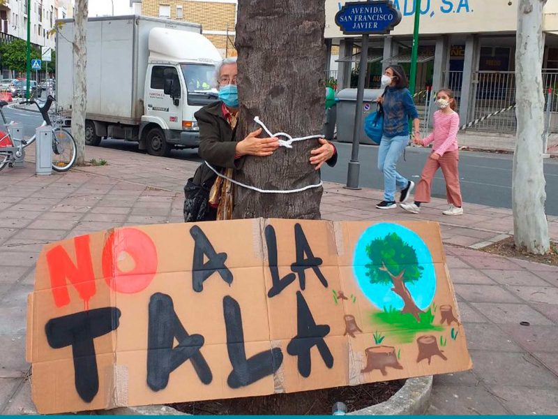 Acción contra la tala de árboles