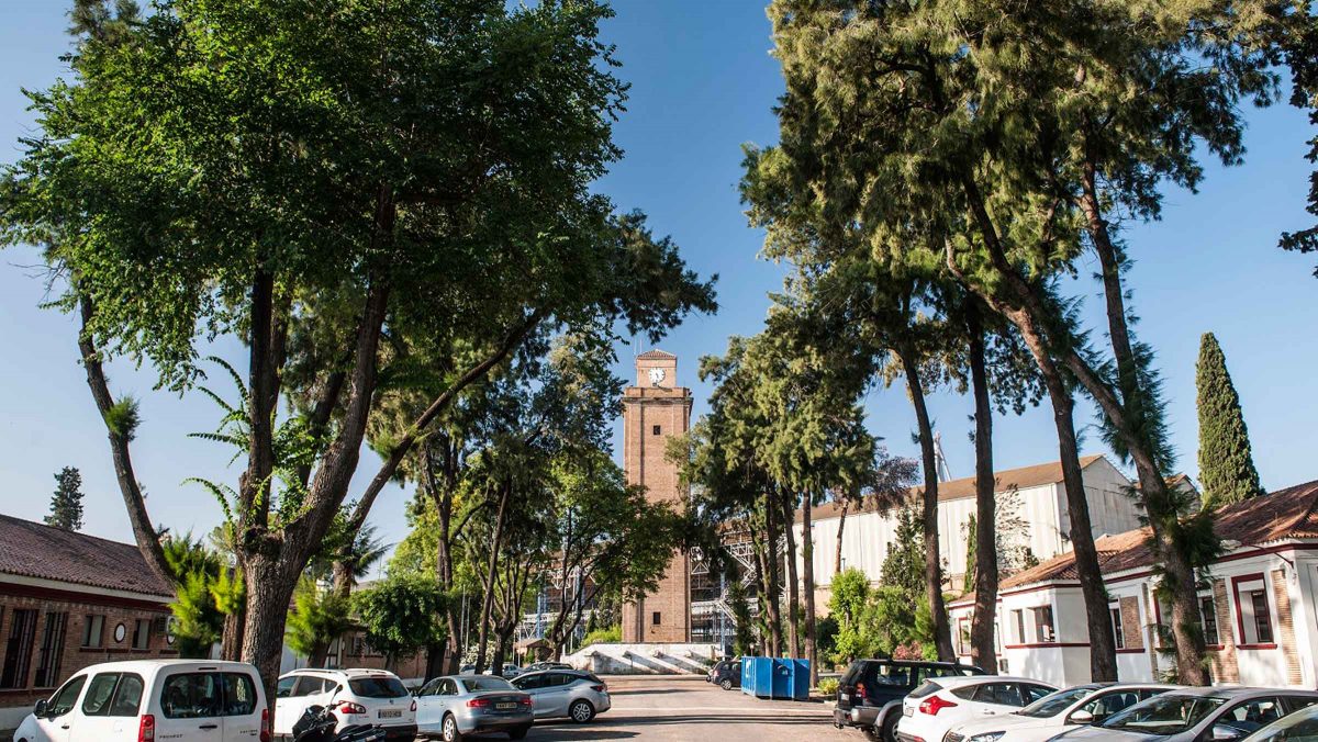 Astilleros de Sevilla