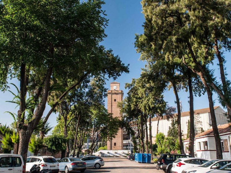 Astilleros de Sevilla