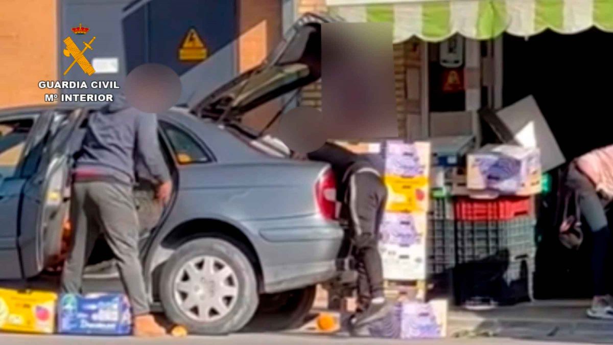 imagen de la operación en la que se han detenido a varias personas por el robo de naranjas en el Aljarafe / SA