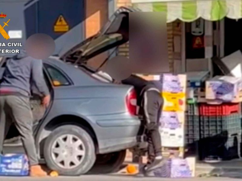 imagen de la operación en la que se han detenido a varias personas por el robo de naranjas en el Aljarafe / SA